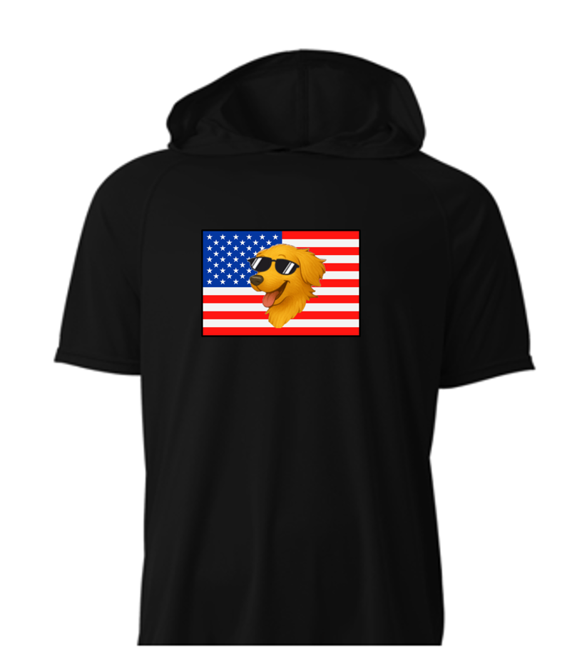 Flag Light Weight Hooded T-Shirt